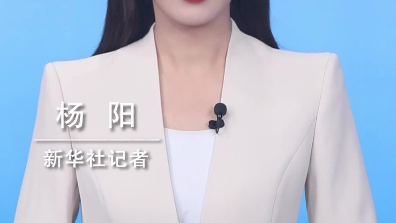 专精特新：聚焦细分领域，深耕细作