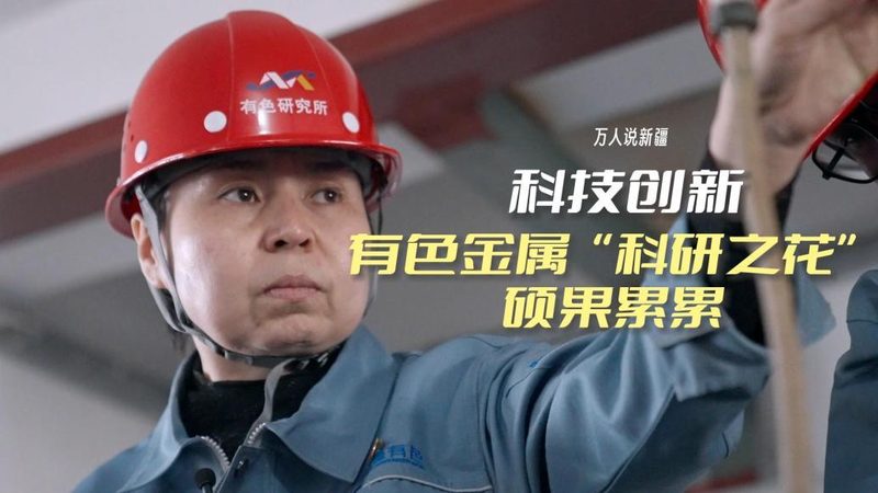 新药研发外包定制服务：揭秘其背后的创新与挑战